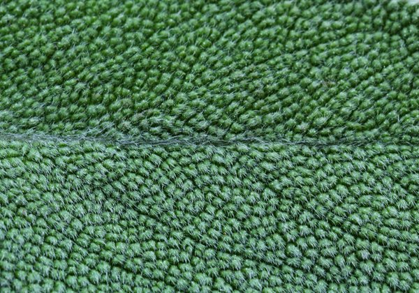 Quels sont les avantages de cuisiner avec des herbes fraîches et comment les conserver?