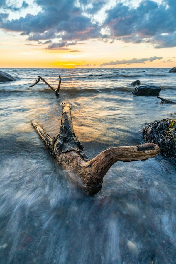 Quels critères pour sélectionner une poêle en fonte émaillée pour une cuisson uniforme?
